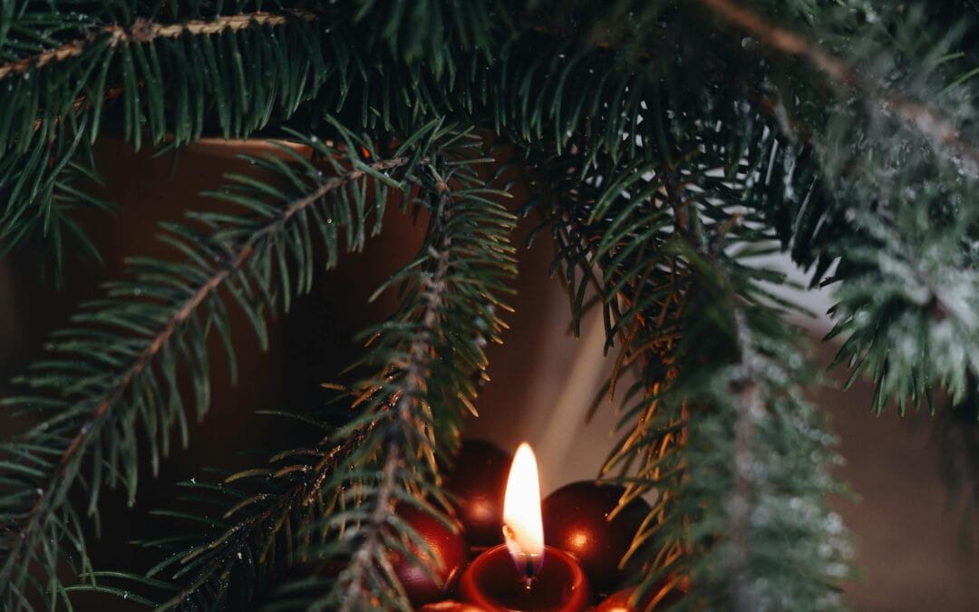 Poema – December 2025, Week 4