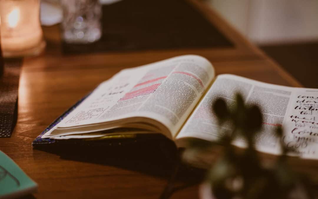 Poema – January 2026, Week 1