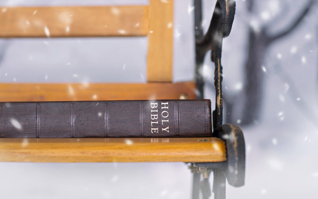Poema – January 2026, Week 3