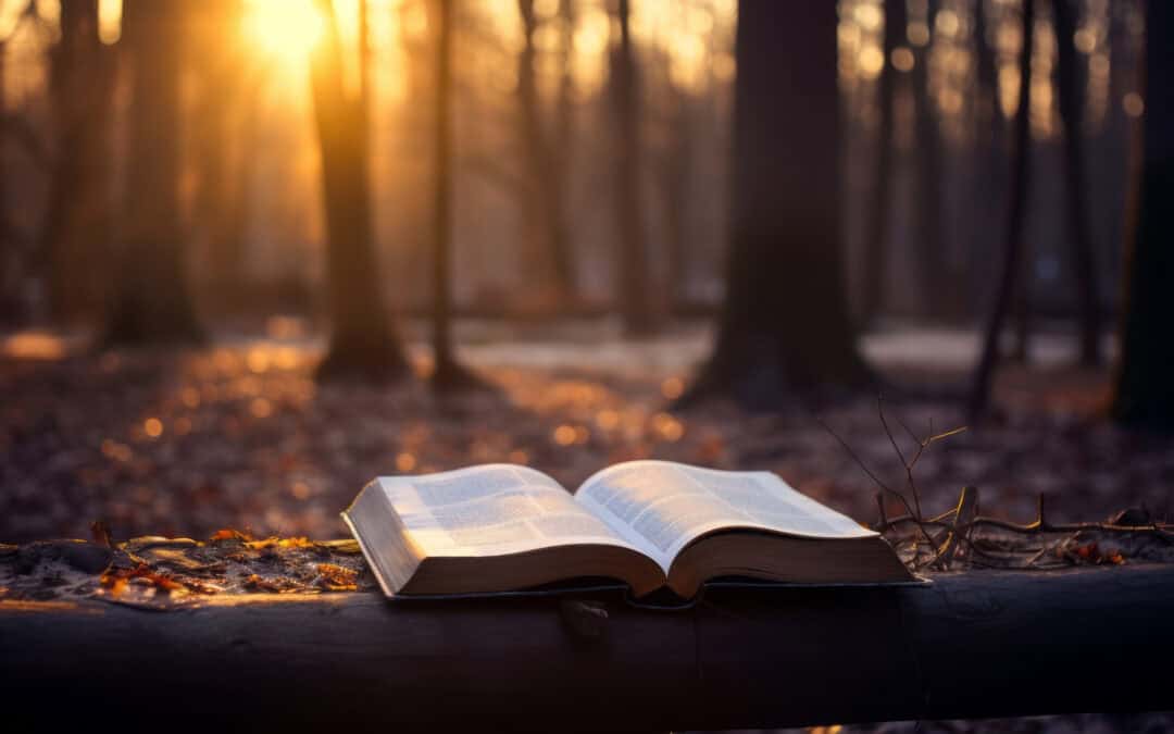 Poema – January 2026, Week 2