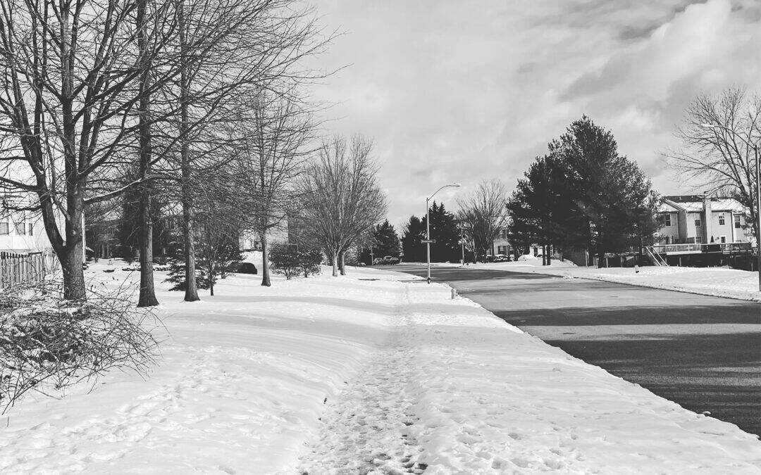 Poema – January 2026, Week 4