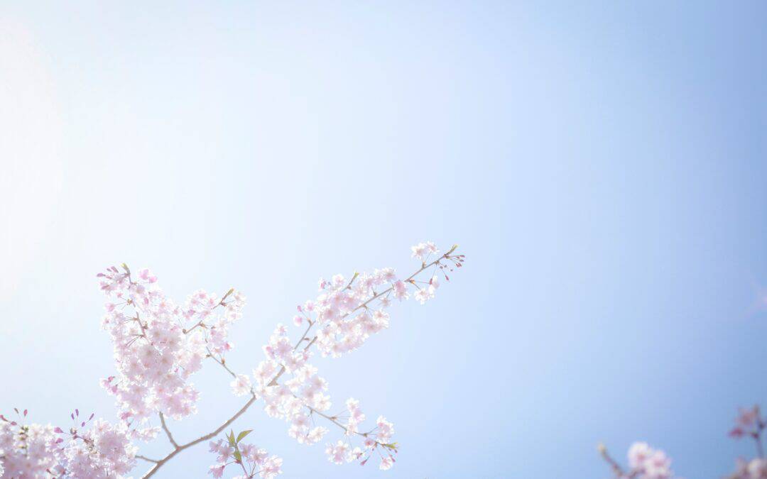 Poema – April 2026, Week 3